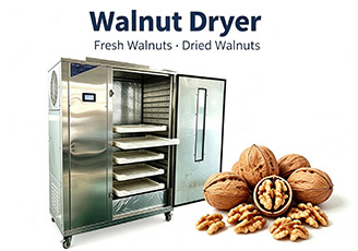 Walnut dryer machine